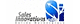 Sales Innovations