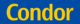 Condor 