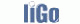 Ligo Electronics Ltd