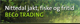 Beco Trading