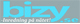 Bizy